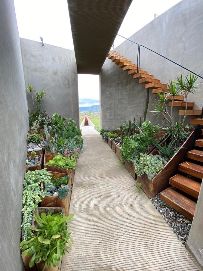 Santulan Panzió Valle de Guadalupe Kültér fotó