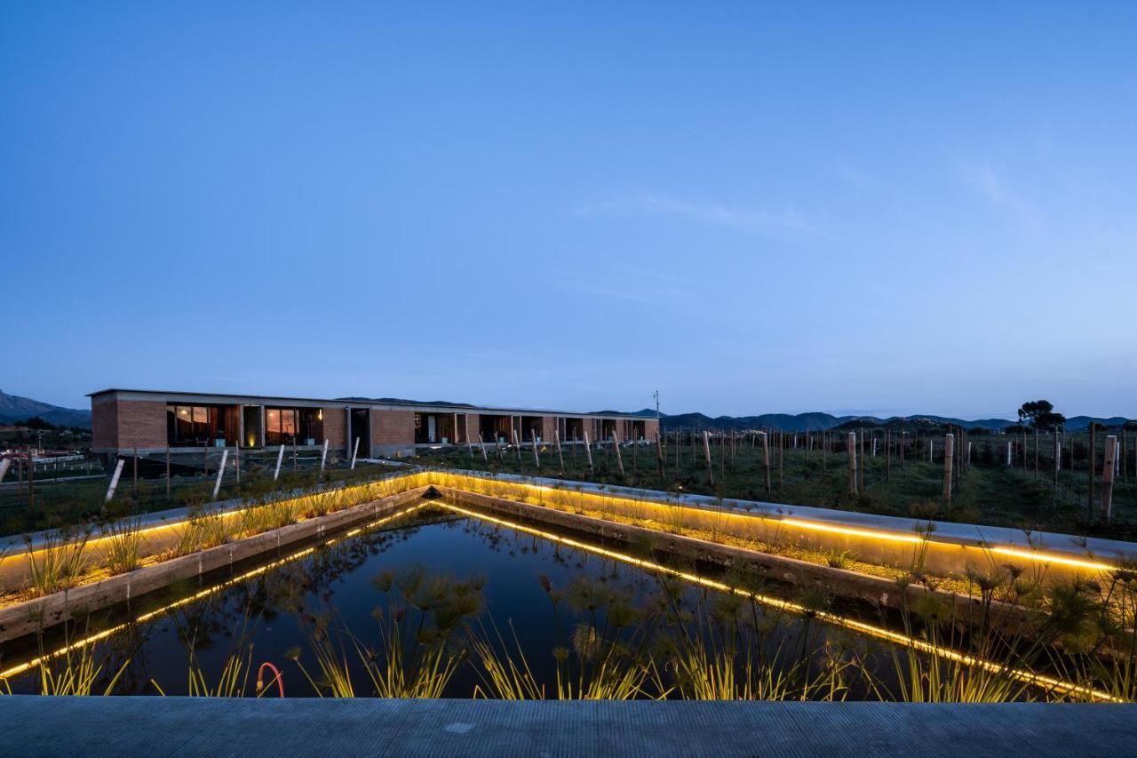 Santulan Panzió Valle de Guadalupe Kültér fotó