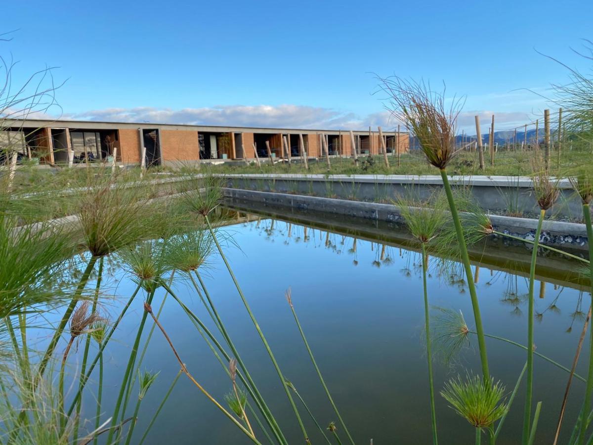 Santulan Panzió Valle de Guadalupe Kültér fotó