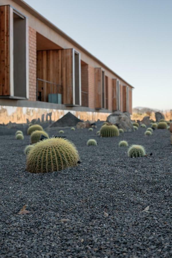Santulan Panzió Valle de Guadalupe Kültér fotó